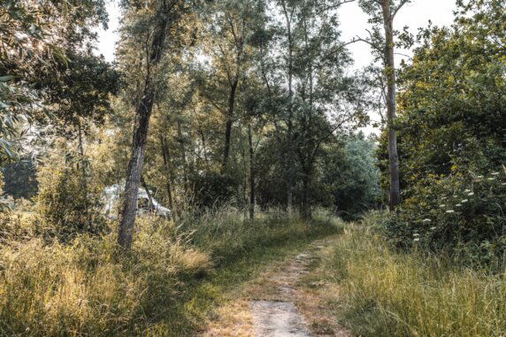 Minicamping in Pelt - photo 5