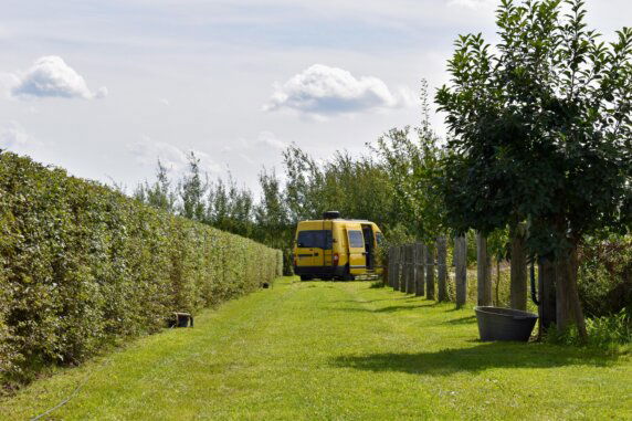 Minicamping in Retie - photo 9