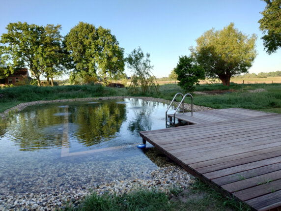 Natuurcamping in Drogteropslagen - photo 4