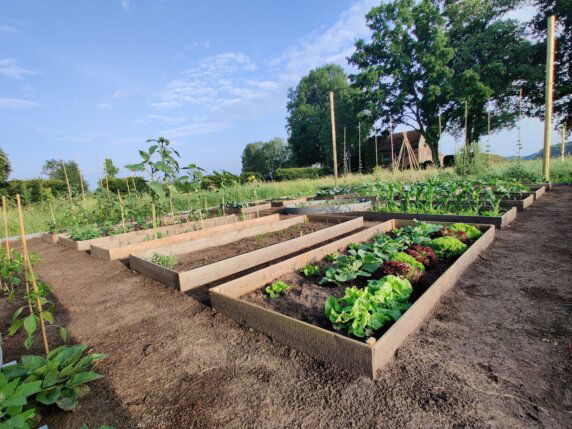 Natuurcamping in Drogteropslagen - photo 5