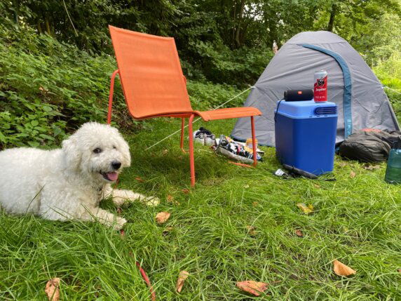Natuurcamping in Hastière - photo 4