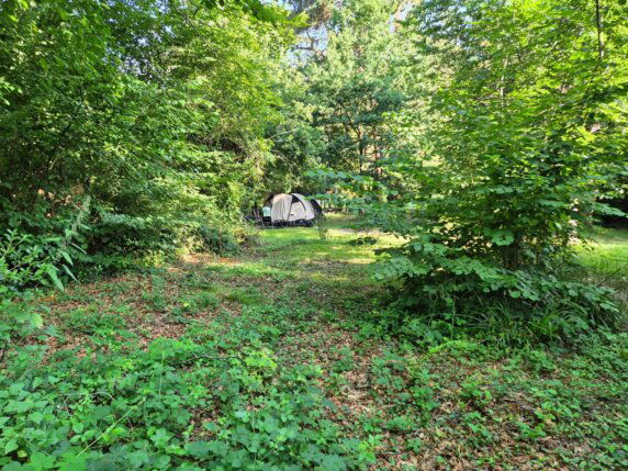 Natuurcamping in Hastière - photo 13