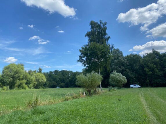 Natuurcamping in Pelt - photo 13