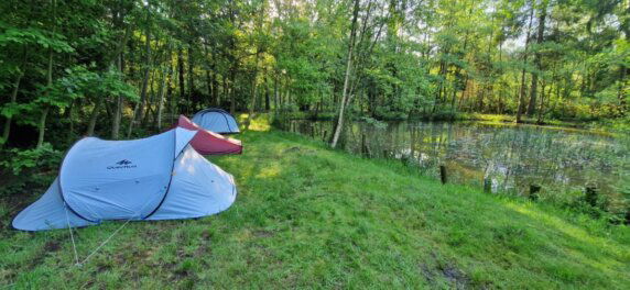 Natuurcamping in Pelt - photo 5