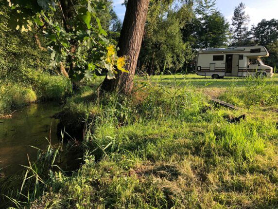 Natuurcamping in Pelt - photo 7