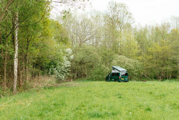 Natuurcamping in Pelt - photo 1