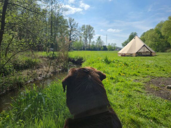 Natuurcamping in Pelt - photo 9