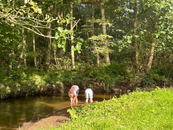 Natuurcamping in Pelt - photo 3