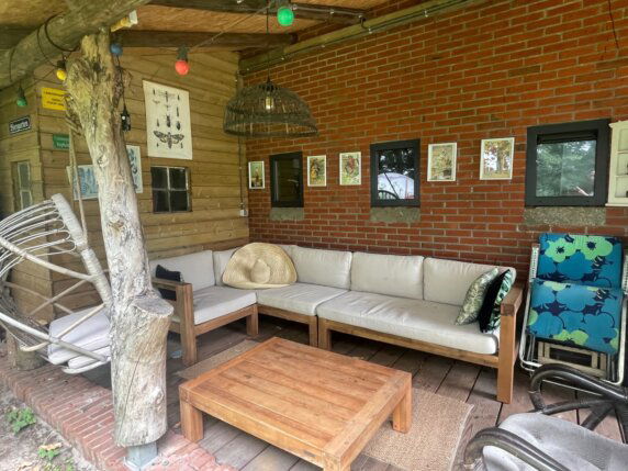 Natuurcamping in Ter Apel - photo 6