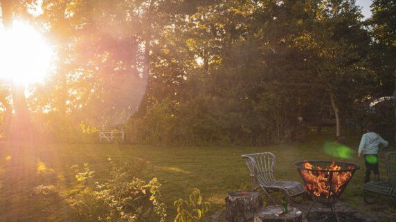 Natuurcamping in Ter Apel - photo 8