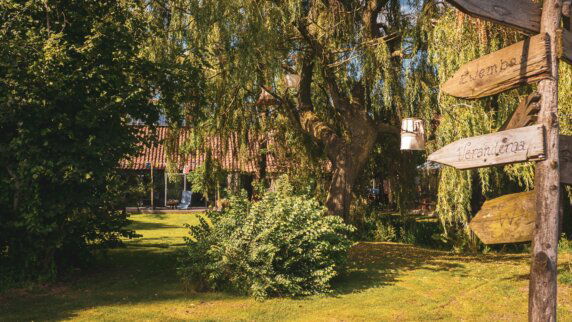 Natuurcamping in Ter Apel - photo 9