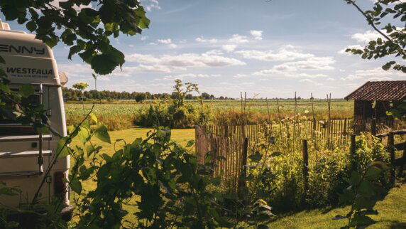 Natuurcamping in Ter Apel - photo 2