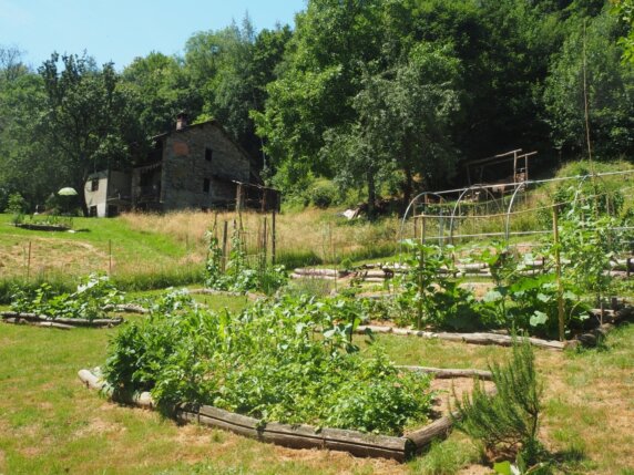 Natuurcamping in Trausella - photo 4