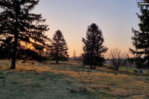 Natuurcamping in Wolfach - photo 7