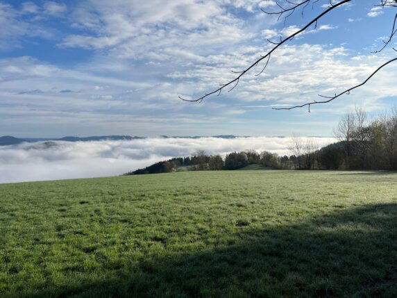 Natuurcamping in Wolfach - photo 5