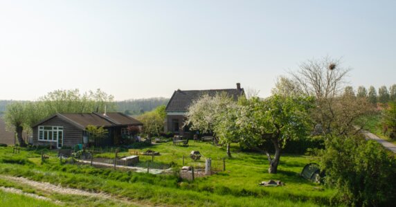 Natuurcamping in Wolphaartsdijk - photo 2