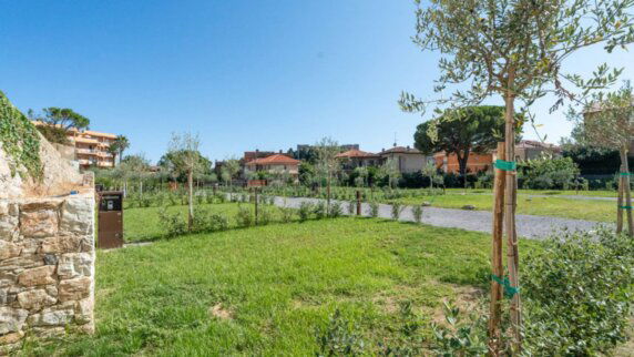 Agricamping La Pietra E L&#8217;ulivo - photo 11