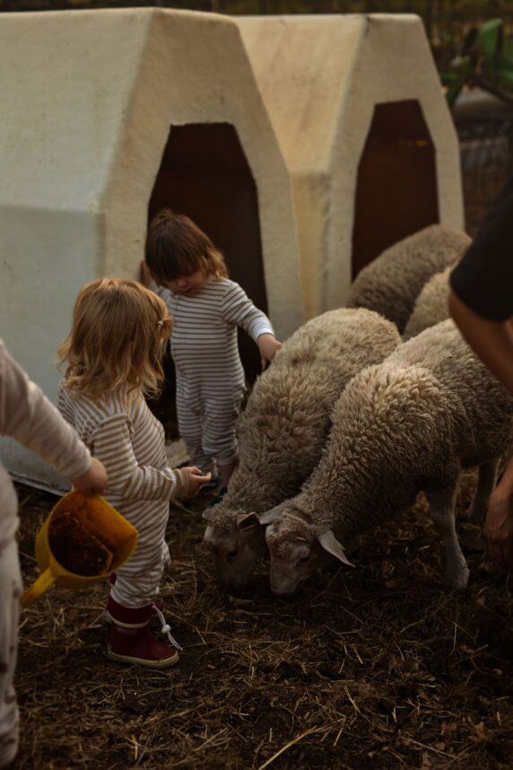 BoerenBed Het Keelven - photo 8