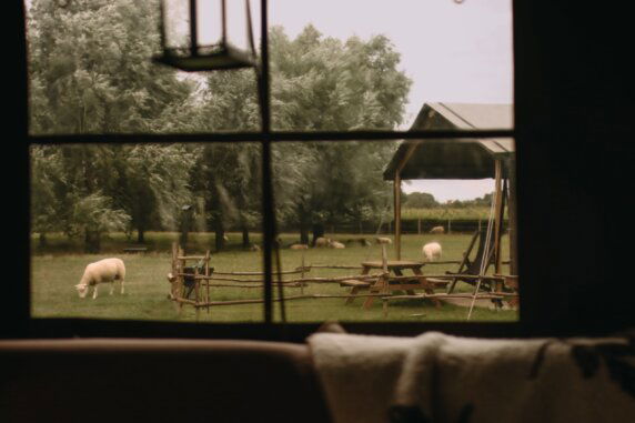 BoerenBed Landgoed ter Wijnendale - photo 1