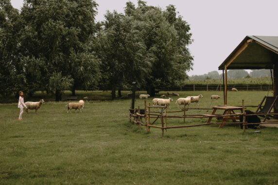 BoerenBed Landgoed ter Wijnendale - photo 7