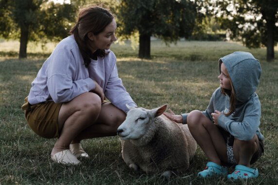 BoerenBed Landgoed ter Wijnendale - photo 6