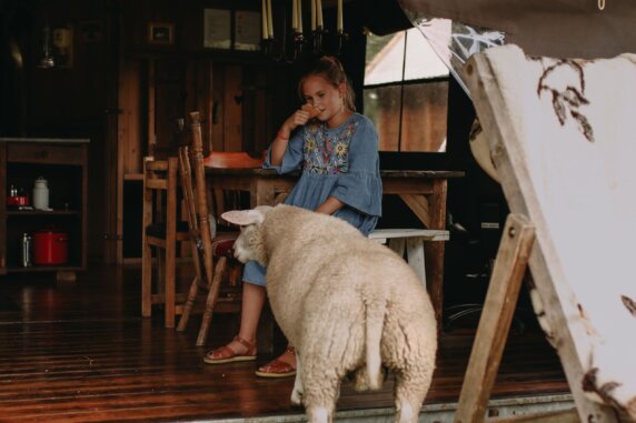 BoerenBed Landgoed ter Wijnendale - photo 9