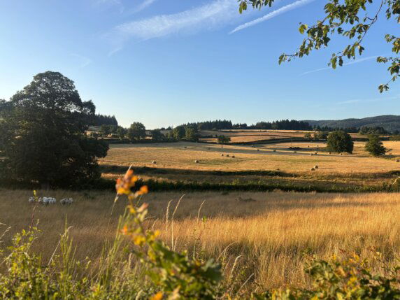 Camping Le Paroy - photo 11