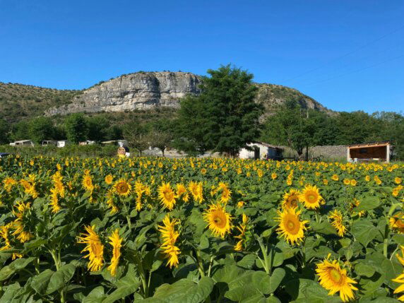 Camping Les Vernades - photo 14