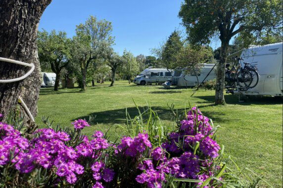 Camping Quinta da Cerejeira - photo 5