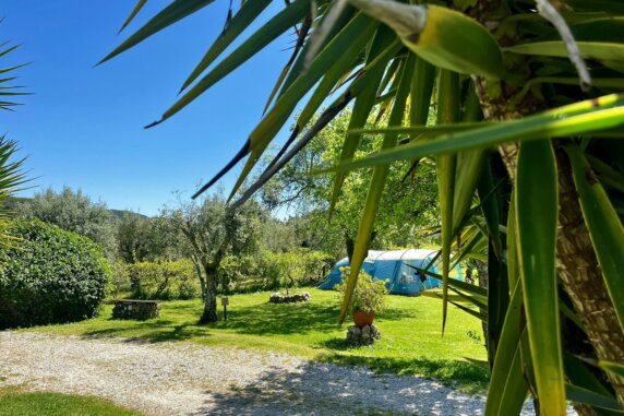 Camping Quinta da Cerejeira - photo 2