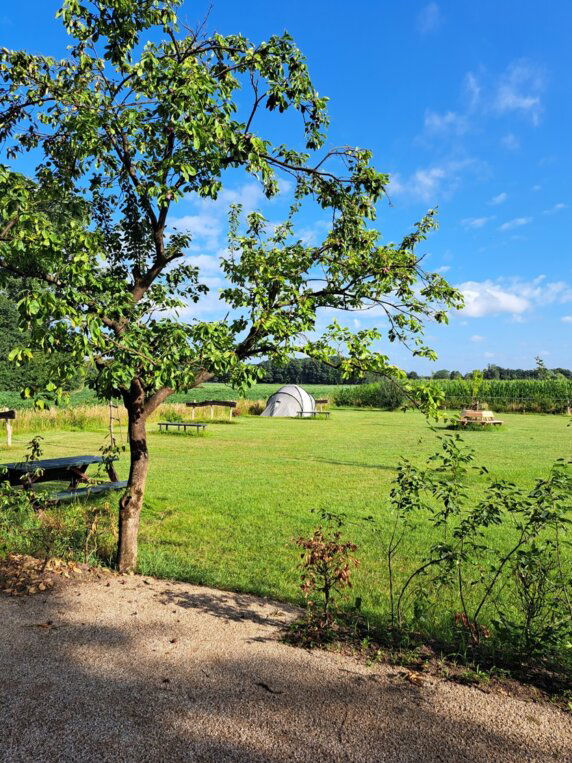 Vin&#8217;k fijn B&#038;B en minicamping - photo 2