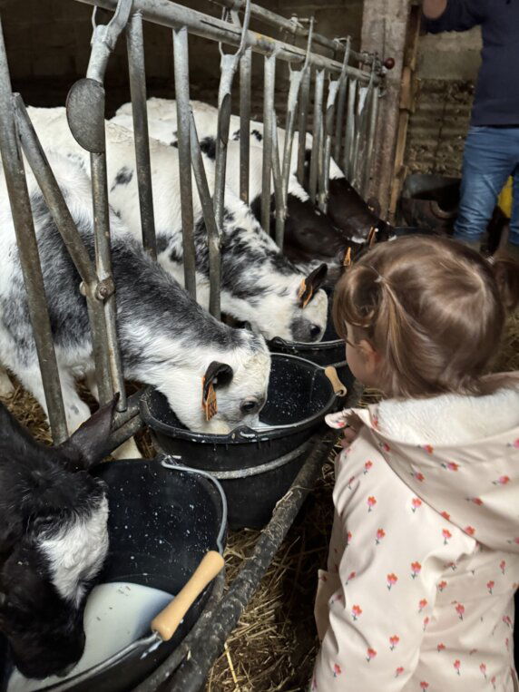 BoerenBed Fermette des Trois Tilleuls - photo 14