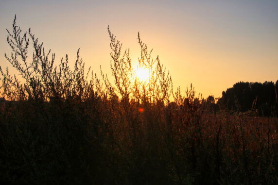 BoerenBed Écuries de Gapennes - photo 37
