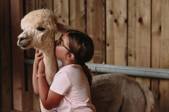 BoerenBed Fermette des Trois Tilleuls - photo 2