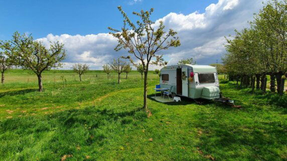 Natuurcamping in Angeren - photo 3