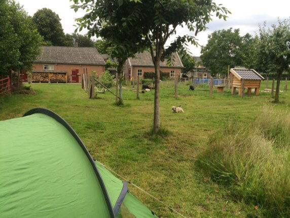 Natuurcamping in Angeren - photo 4