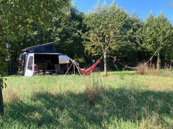 Natuurcamping in Angeren - photo 10