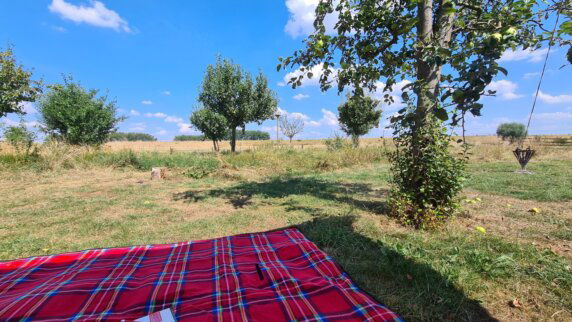 Natuurcamping in Angeren - photo 8