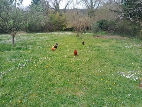 Natuurcamping in Carnas - photo 4