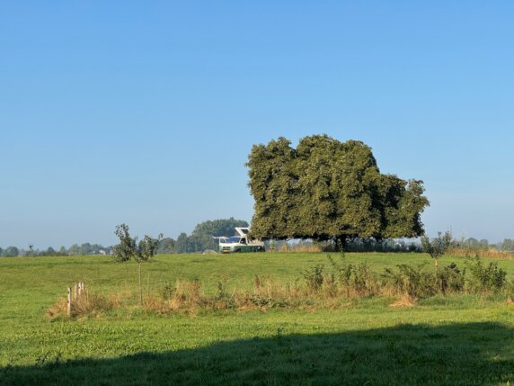 Natuurcamping in Herwen - photo 2