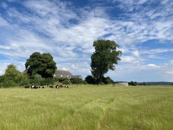Natuurcamping in Herwen - photo 8
