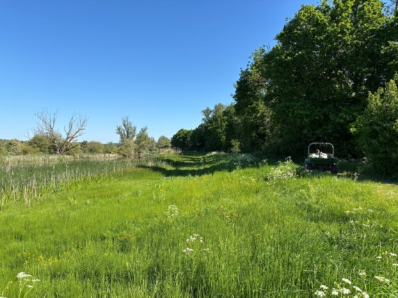 Natuurcamping in Herwen - photo 6