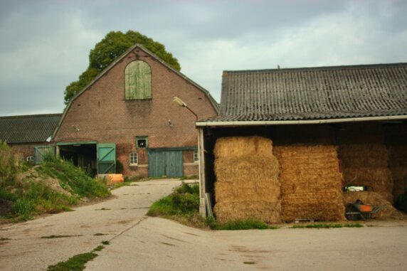 Natuurcamping in Herwen - photo 10