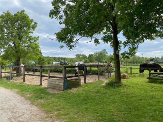 Natuurcamping in Lunteren - photo 12