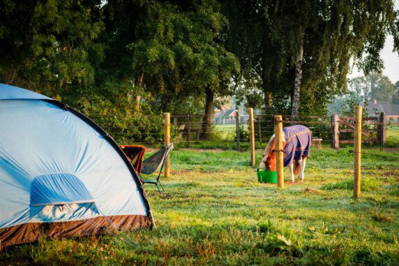 Natuurcamping in Lunteren - photo 10