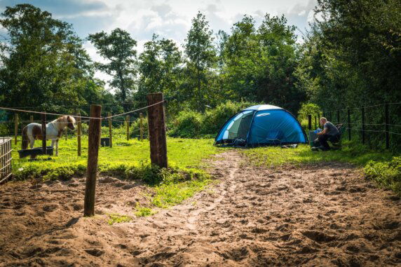 Natuurcamping in Lunteren - photo 1