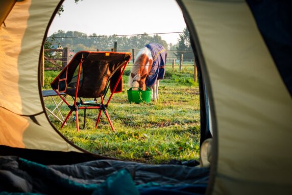 Natuurcamping in Lunteren - photo 3