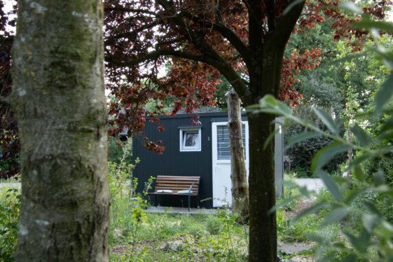 Natuurcamping in Lunteren - photo 15