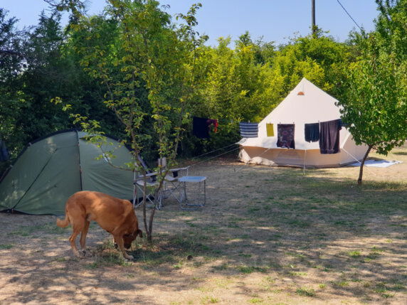 Natuurcamping in Simiane-Collongue - photo 9