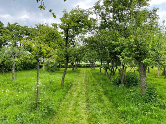 Natuurcamping in Voorst - photo 10